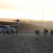 U.S. Marine Corps Deployed to Southern Border.